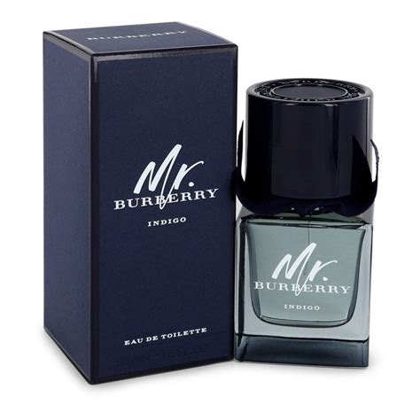 mr burberry indigo avis|mr Burberry indigo 50ml.